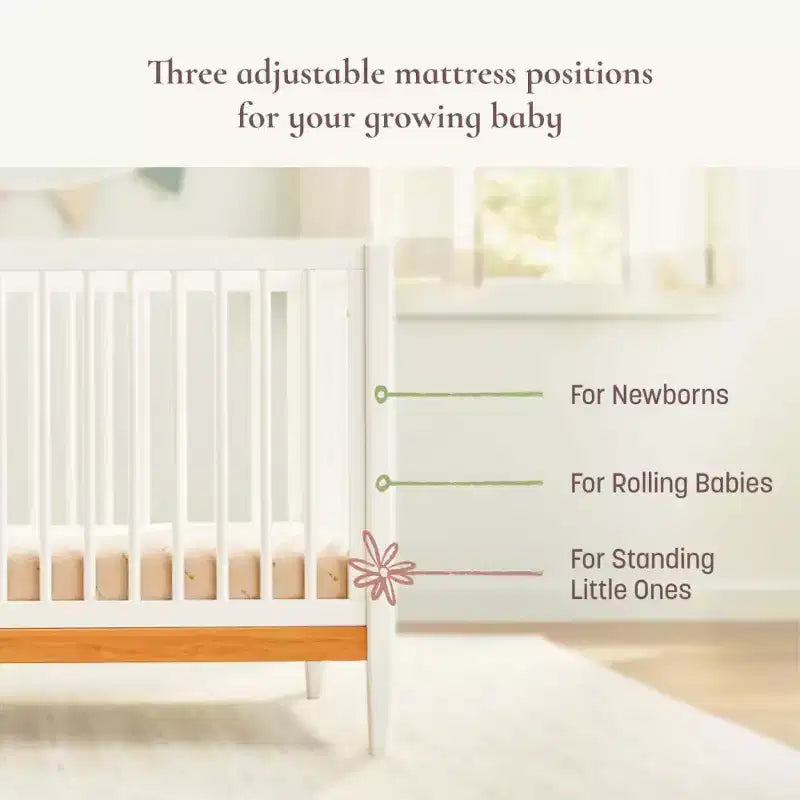 Culla trasformabile 4-in-1 Clover