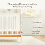 Culla trasformabile 4-in-1 Clover